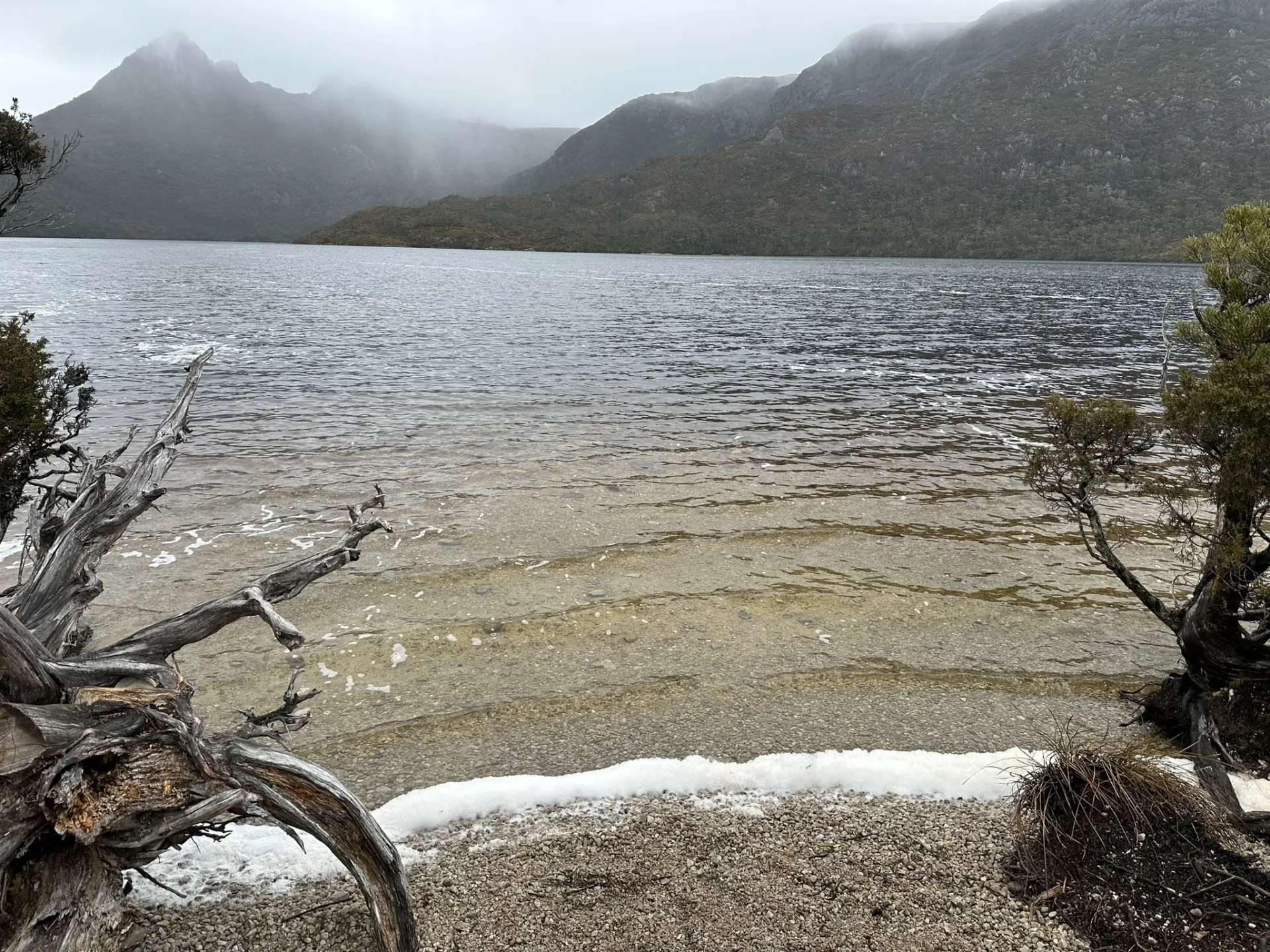 Dove Lake walks